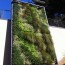 Living Wall Concepts